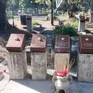 Nghĩa trang Hàng Dương - địa chỉ đỏ về nguồn
