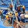 EC lùi thời gian thanh tra “thẻ vàng” IUU đến cuối năm