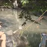 Hà Nội: Dự án chậm, mương thành "ổ rác", dân sống chung với ô nhiễm