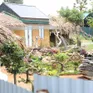 5 Chủ tịch xã tại Hà Nội bị tạm dừng công tác điều hành để tập trung xử lý vi phạm đất đai