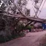 Yên Bái: Giông lốc khiến một người bị thương, 71 ngôi nhà tốc mái