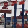 Ấn Độ đề xuất miễn thuế có điều kiện cho một số hàng hóa với Mỹ