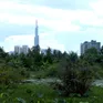Nhiều dự án "treo" kéo dài, người dân khốn khổ vì chờ đợi