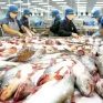 Trung Quốc trở thành thị trường xuất khẩu thủy sản lớn nhất của Việt Nam