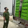 Xử phạt nhiều cơ sở kinh doanh hàng hóa không rõ nguồn gốc, xuất xứ