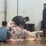 Đồng Nai: 2 cơ sở giết mổ gia súc vi phạm vệ sinh ATTP