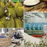 Bảo đảm sản xuất, tiêu thụ, xuất khẩu nông, lâm, thủy sản