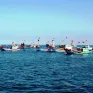 Bộ Nông nghiệp và Môi trường: Trung Quốc đơn phương cấm đánh bắt cá trên Biển Đông là không có giá trị