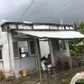 Gia Lai chủ động phòng ngừa, giảm thiểu thiệt hại do dông lốc