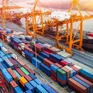 Thúc đẩy thương mại nông lâm thuỷ sản với Hoa Kỳ