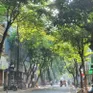 Bắc Bộ và Bắc Trung Bộ ngày nắng, đêm có mưa vài nơi