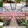 Chưa cấp phép cho doanh nghiệp nào tuyển chọn lao động sang Israel