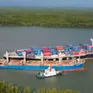 Hơn 5 tấn thủy sản chết vì dầu loang trên sông Lòng Tàu