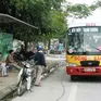 Nghệ An chuyển đổi sang xe điện đối với xe buýt, xe khách nội tỉnh