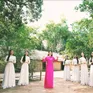 Câu chuyện từ những bài ca - “Người về thăm quê”: Ký ức thiêng liêng về Bác