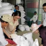Xuất cấp gạo cho tỉnh Cao Bằng dịp giáp hạt đầu năm 2025