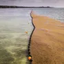 31 triệu tấn tảo độc trôi dạt vào bờ biển Mỹ và Caribe