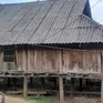 Trái tim lỗi nhịp và ước nguyện được chữa lành