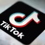 TikTok bị cáo buộc vi phạm luật pháp tại EU