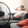 Cảnh báo biến chứng thai kỳ do nắng nóng cực đoan