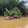Xây dựng cộng đồng bền vững, thích ứng thiên tai