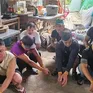 Xoá tụ điểm đá gà liên tỉnh ở Đà Nẵng