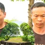 Khởi tố 2 đối tượng người nước ngoài xâm phạm mộ vua Lê Túc Tông