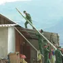 Biên phòng giúp dân chằng mái nhà, vững vàng trước mùa mưa bão