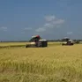 Đột phá khoa học công nghệ trong nông nghiệp
