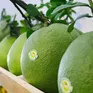 Cơ hội rộng mở cho trái bưởi Việt Nam