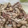 Gia Lai: Ăn nấm mọc trên nhộng ve sầu 1 người đàn ông nguy kịch