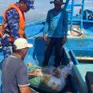 Tạm giữ tàu vận chuyển gần 3 tấn mực khô không rõ nguồn gốc