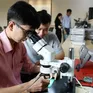 Bộ GD&ĐT ban hành Chuẩn chương trình đào tạo về vi mạch bán dẫn