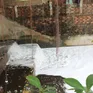 Đồng Nai: Lộ diện thủ phạm xả thải khiến suối Bà Lúa sủi bọt