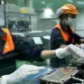 Kế hoạch hành động của Chính phủ về phát triển kinh tế tư nhân