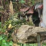 Hai tảng đá lớn rơi từ trên núi lăn xuyên nhà dân ở Yên Bái