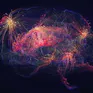 Alzheimer có thể bắt đầu từ một đoạn gene duy nhất - và AI vừa lần ra manh mối ấy