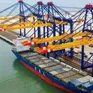 Vận tải biển giữ đà tăng trưởng mạnh