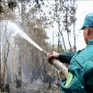 Cà Mau có hơn 36.000 ha rừng nguy cơ xảy ra cháy