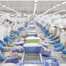 Thủy sản Việt Nam tìm cách thoát “bẫy phụ thuộc”
