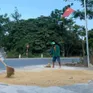 Nghệ An: Cảnh sát giao thông giúp dân dọn lúa chạy mưa