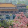Việt Nam xếp thứ 7 về tăng trưởng điểm đến du lịch