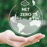 Lập báo cáo phát triển bền vững giúp thúc đẩy tăng trưởng xanh