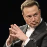 Elon Musk cam kết dẫn dắt Tesla, giảm chi tiêu chính trị