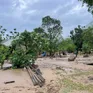 Mưa lũ "chưa từng có" tàn phá tỉnh Bắc Kạn, ước tính thiệt hại 100 tỷ đồng