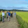 Một phụ nữ bị sét đánh tử vong trên đồng ruộng
