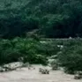2 học sinh tử vong, 2 em mất tích do lũ cuốn khi tắm suối ở Quảng Ninh