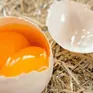 Đề nghị điều tra tin đồn trứng giả gây hoang mang dư luận