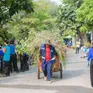 Tuổi trẻ TP Hồ Chí Minh ra quân hưởng ứng Ngày Môi trường Thế giới 2025
