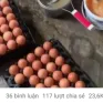 Người chăn nuôi lỗ nặng vì "tin đồn" trứng giả